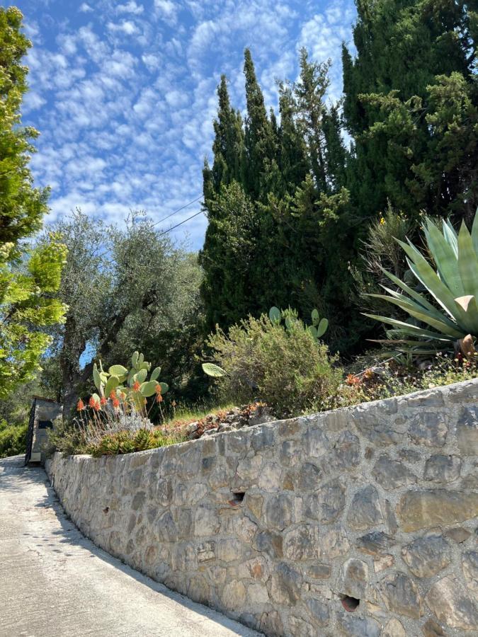 Entre Nice Et Monaco Grande Villa Avec Piscine Privee 12 Personnes Drap Εξωτερικό φωτογραφία