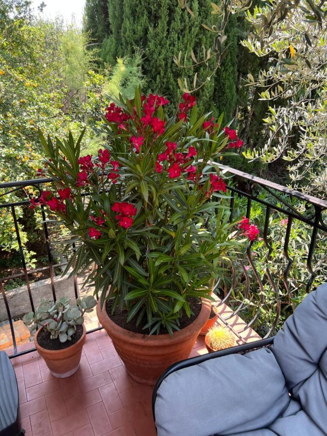 Entre Nice Et Monaco Grande Villa Avec Piscine Privee 12 Personnes Drap Εξωτερικό φωτογραφία